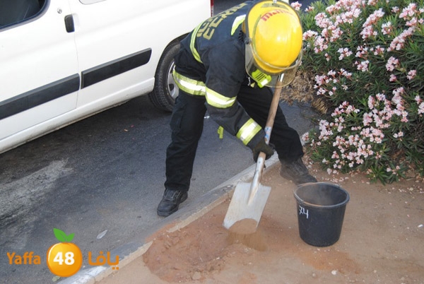 accyaffa615bil (12).JPG